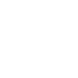 The Consultant Coach